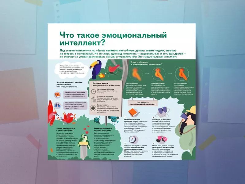 Комплект коуч-плакатів &laquo;Чему не вчать у школі&raquo; !!! фото