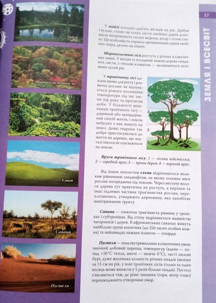 Енциклопедія необхідних знань школяра. Промінь 8168 фото