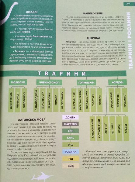 Енциклопедія необхідних знань школяра. Промінь 8168 фото