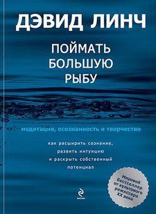 Книга Піймати велику рибу. Медитація, усвідомленість, творчість (Лінч Д.). Білий папір ст667 фото